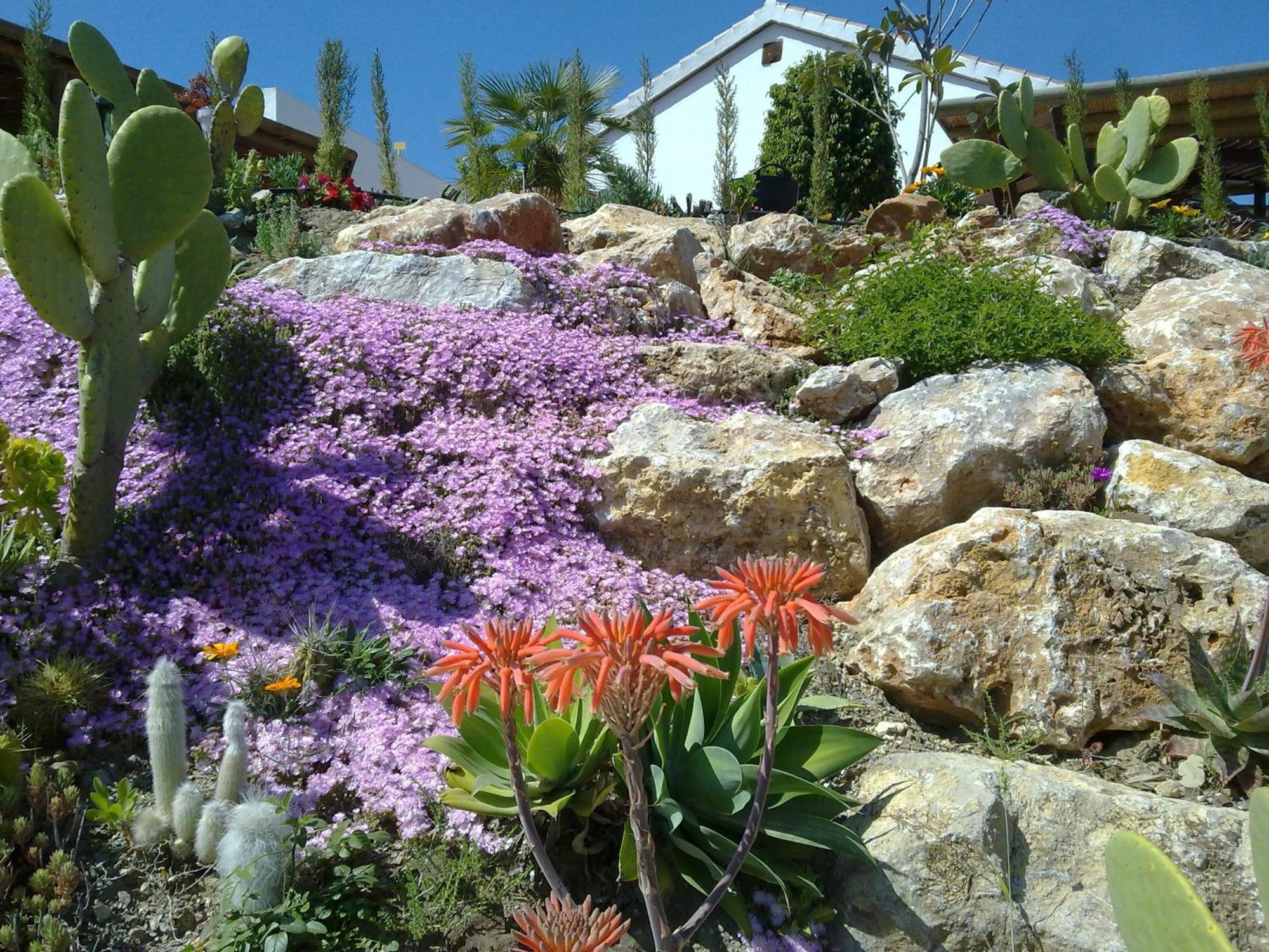 Bed & Breakfast | Guest House Casa Don Carlos Alhaurín el Grande Eksteriør billede